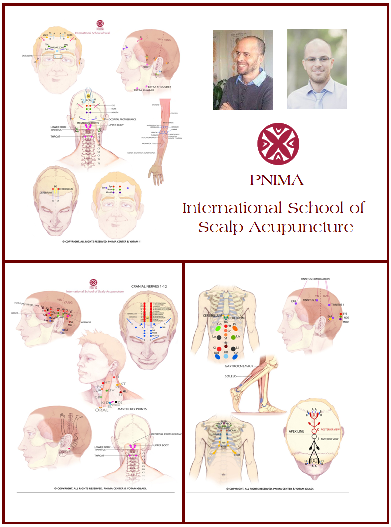 BASIC COURSE OF YAMAMOTO NEW SCALP ACUPUNCTURE – Itme Seminars